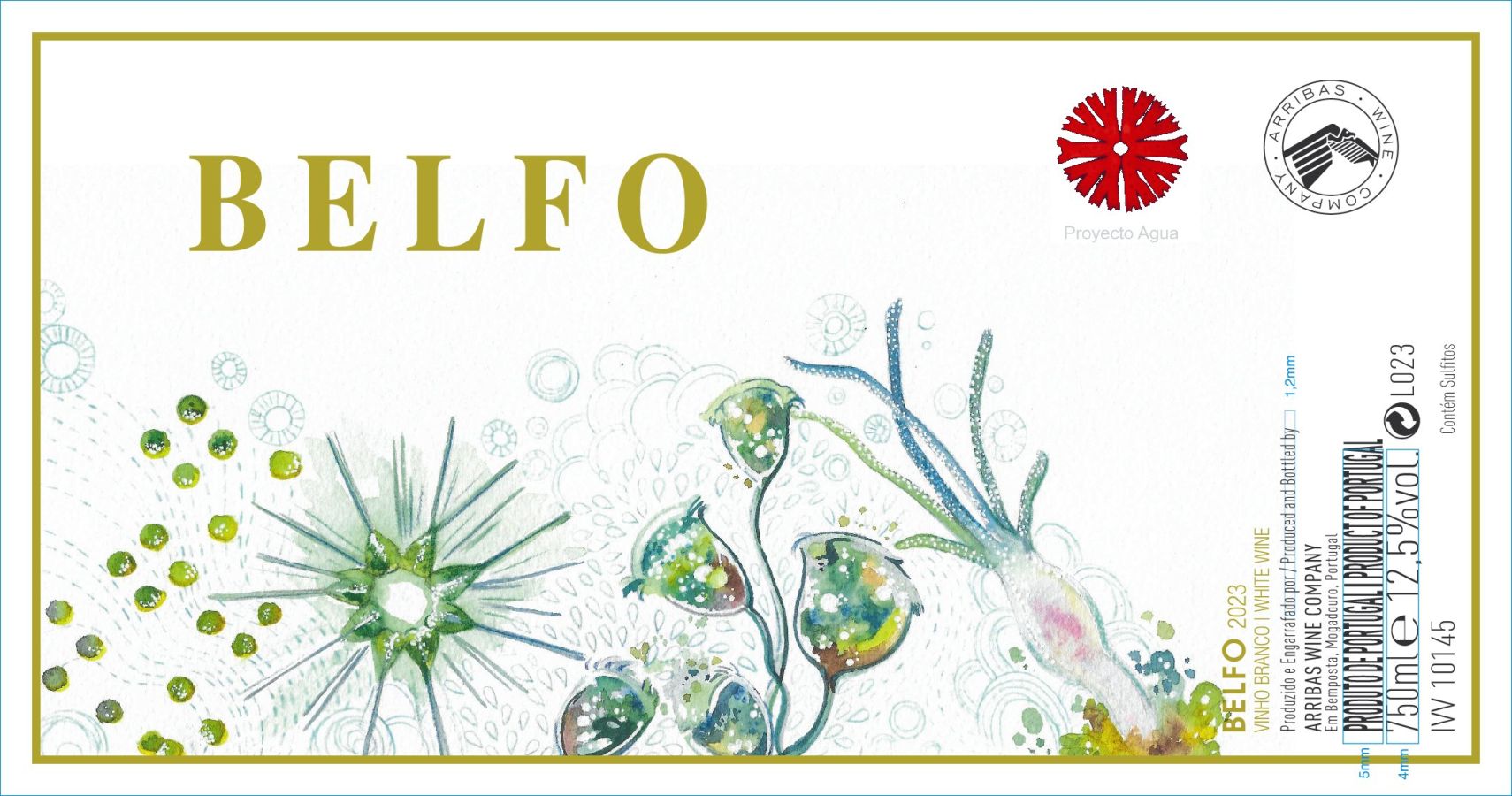 vinho belfo branco 2023